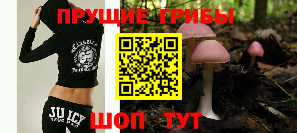 Галлюциногенные грибы Magic Shrooms  купить наркоту  Арзамас  Вход с VPN 